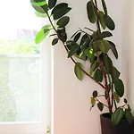 Berlincity Hostel Berlín