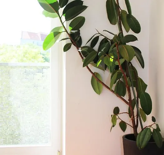 Berlincity بيت شباب برلين